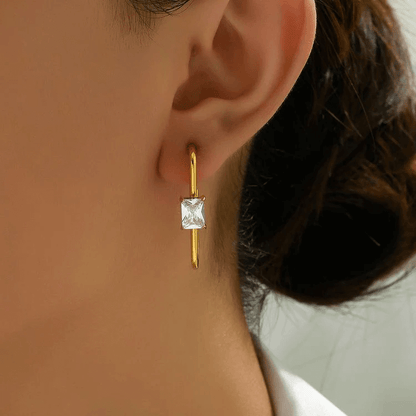 Cubic Zirconia - Anti Tarnish Charm Drop 18k Gold Plated Earrings